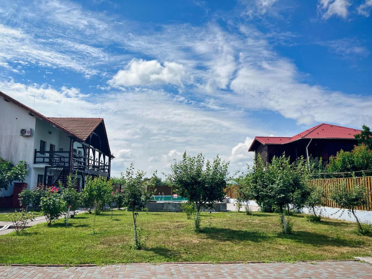 Pensiunea Crisan Exterior photo